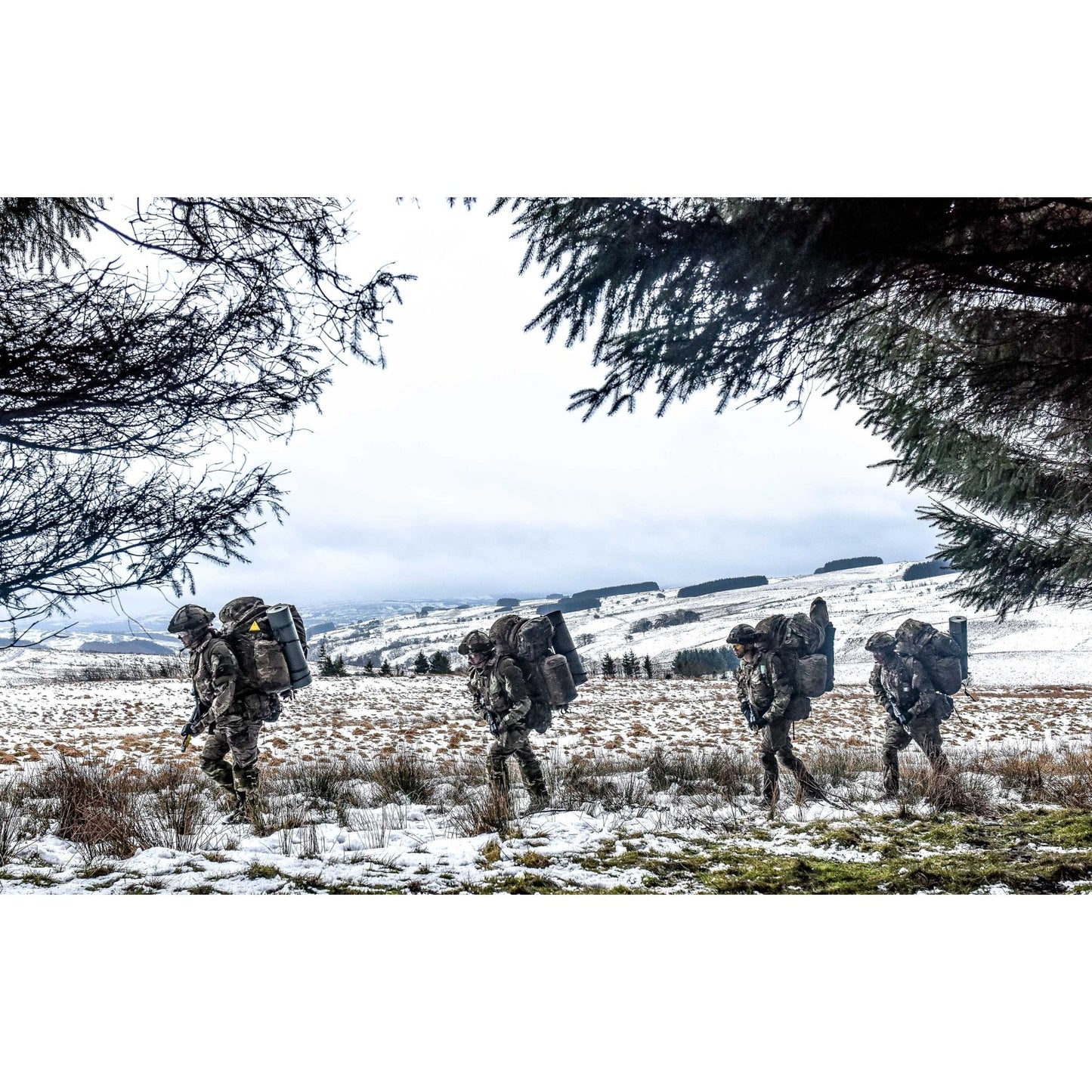 A Festive Ramble by Murray Kerr - Pack of 10 Christmas Cards - ABF The Soldiers' Charity Shop